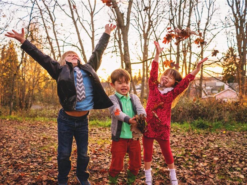 法学院造句,用法学院怎么造句子(144句)