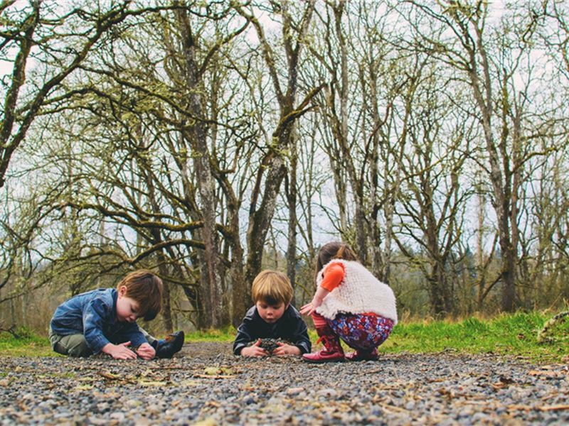 旱地造句,用旱地怎么造句子(164句)