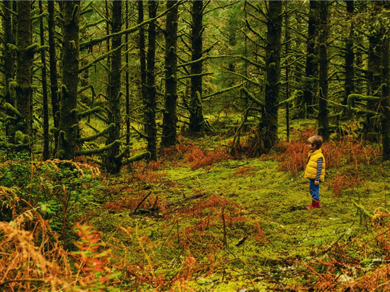 出费造句,用出费怎么造句子(29句)