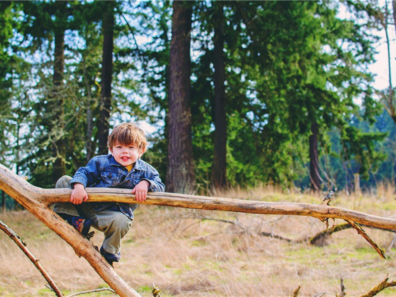 类似造句,用类似怎么造句子(161句)