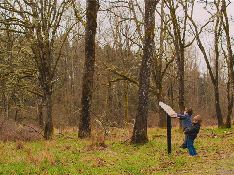 人行道造句,用人行道怎么造句子(170句)