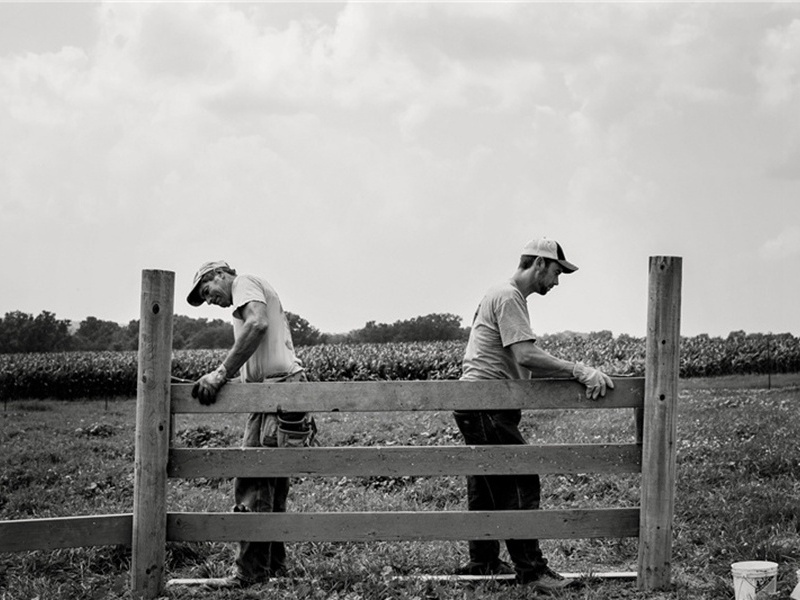 涉及到造句,用涉及到怎么造句子(152句)