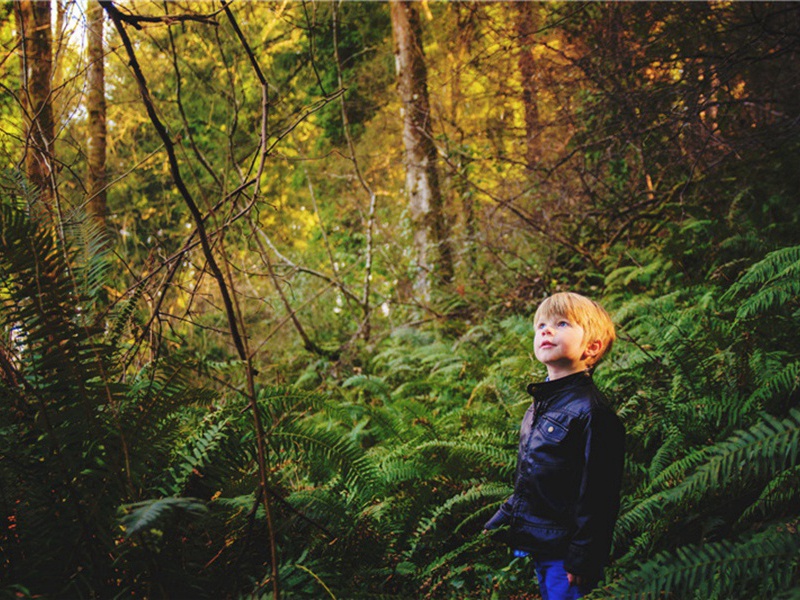 倘若造句,用倘若怎么造句子(179句)