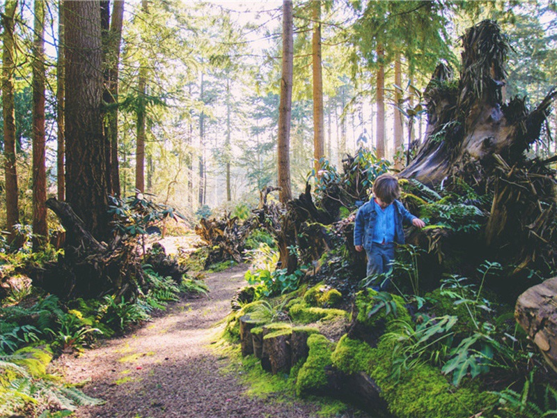 财源广进造句,用财源广进怎么造句子(156句)