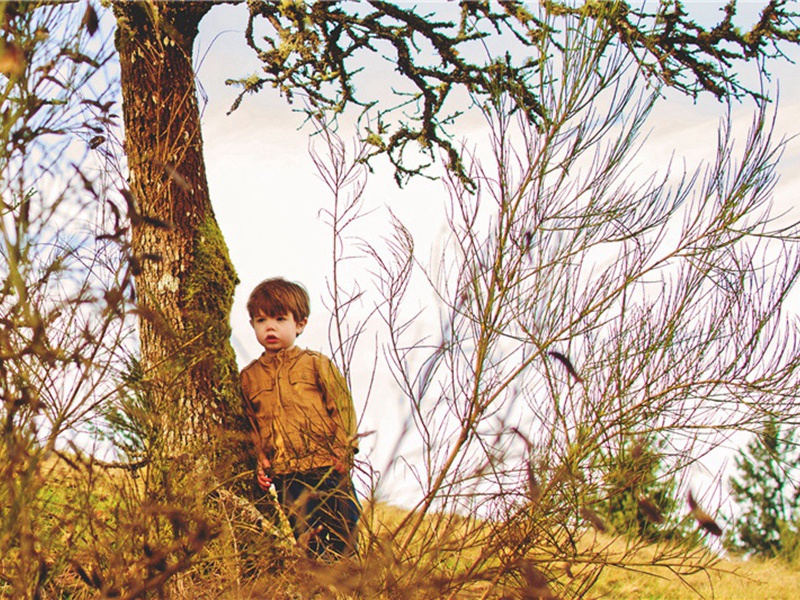 引用造句,用引用怎么造句子(153句)