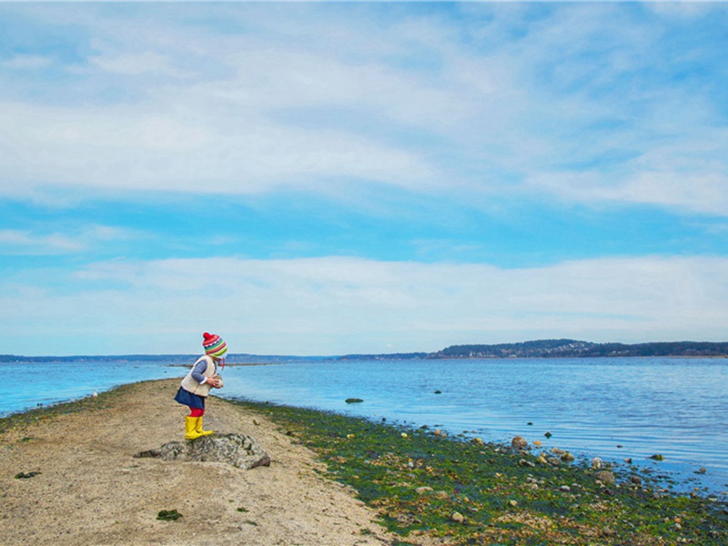 公厕造句,用公厕怎么造句子(122句)