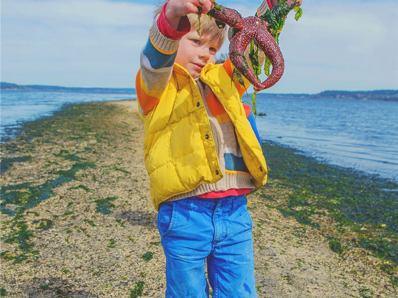 排量造句,用排量怎么造句子(90句)