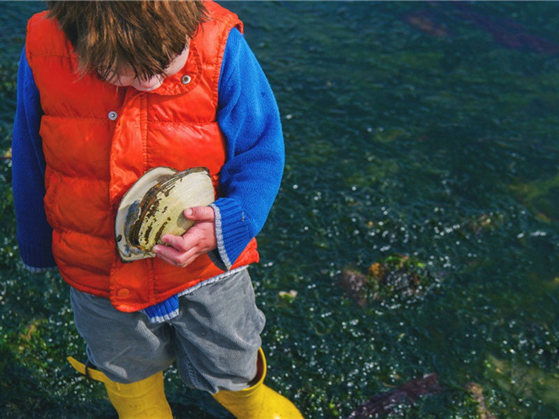 空无一物造句,用空无一物怎么造句子(47句)