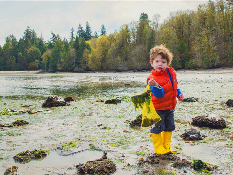 涂写造句,用涂写怎么造句子(25句)