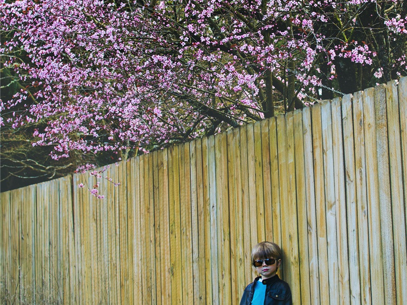 竞赛造句,用竞赛怎么造句子(160句)