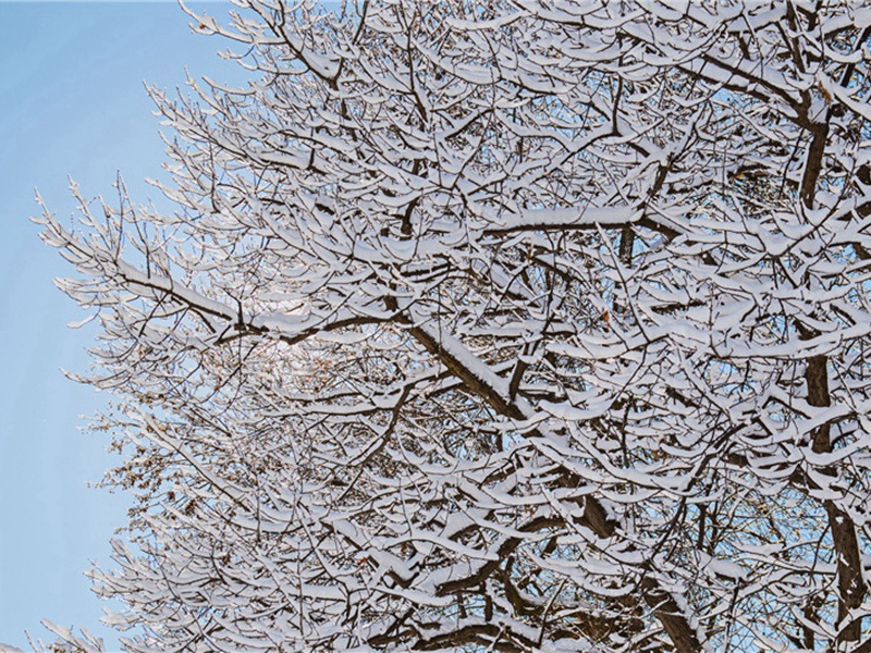 用水造句,用用水怎么造句子(179句)