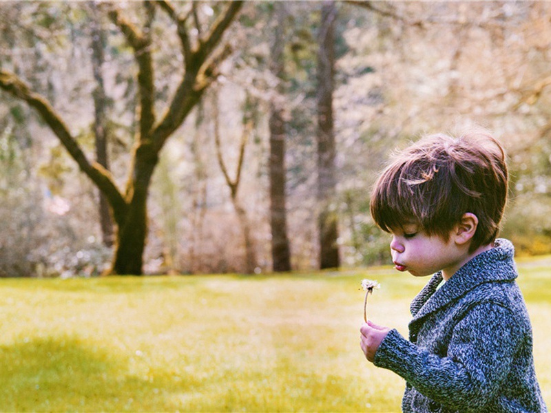 送抱造句,用送抱怎么造句子(42句)