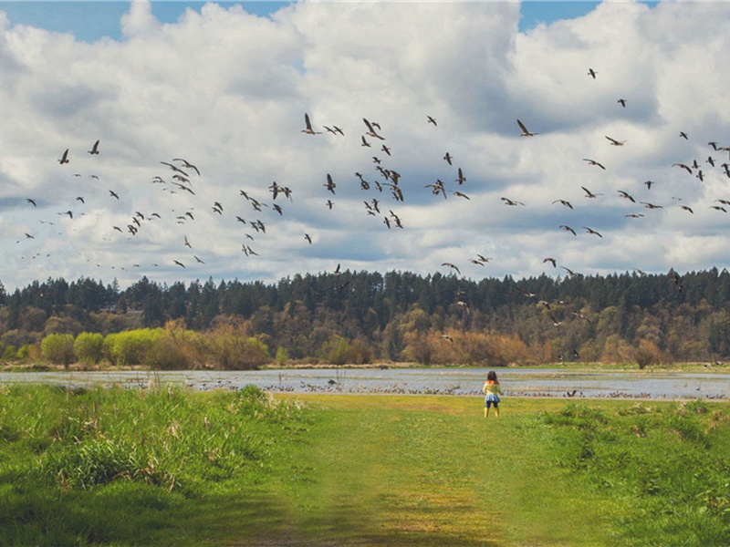 舌面造句,用舌面怎么造句子(38句)