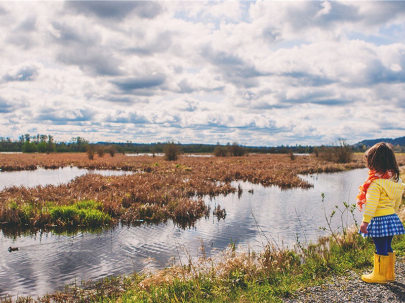 奔雷造句,用奔雷怎么造句子(47句)