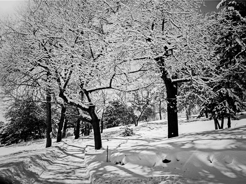 伏特造句,用伏特怎么造句子(156句)