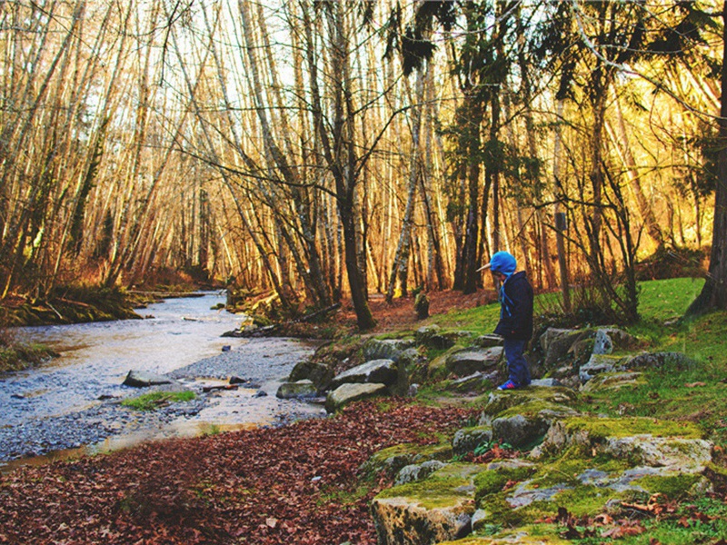 献身造句,用献身怎么造句子(179句)