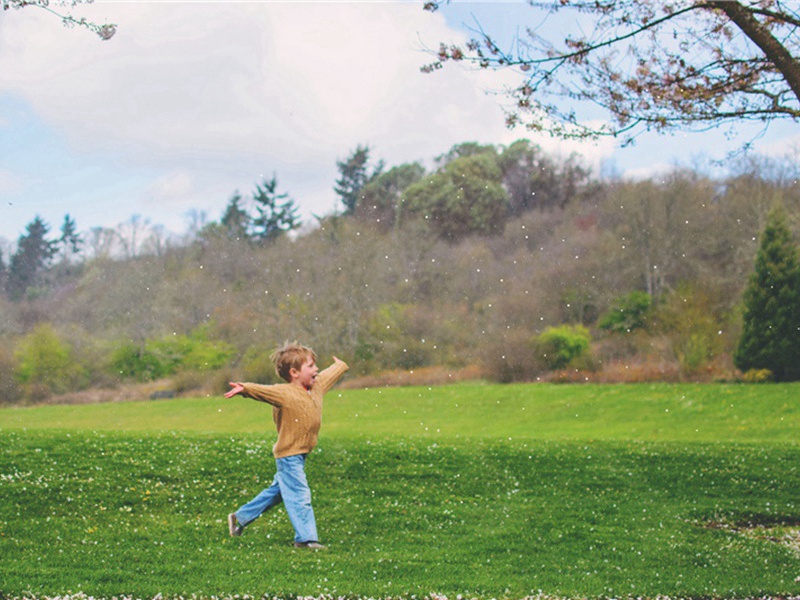 特种造句,用特种怎么造句子(160句)