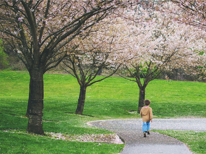 邂逅相遇造句,用邂逅相遇怎么造句子(32句)