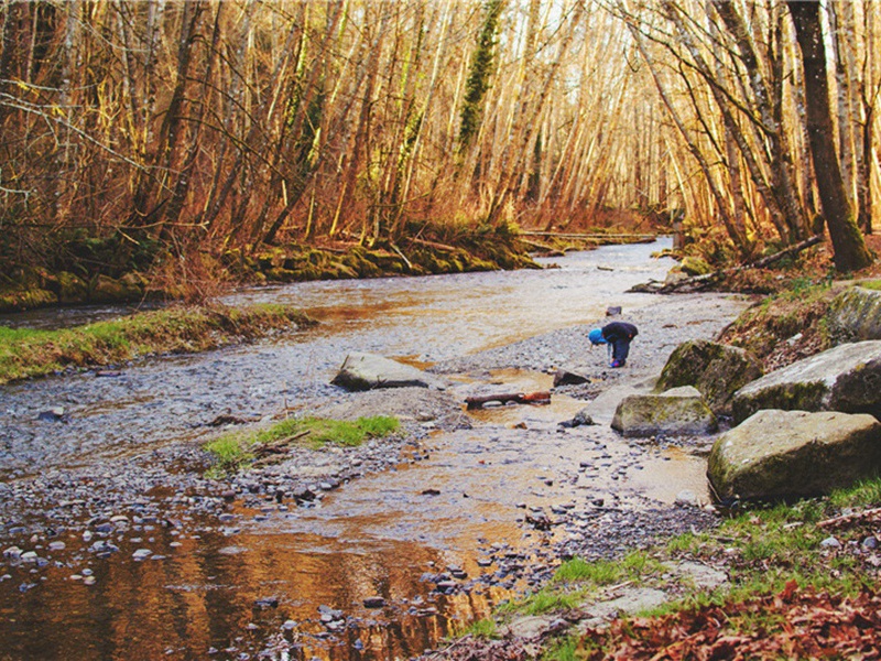 荧光灯造句,用荧光灯怎么造句子(50句)