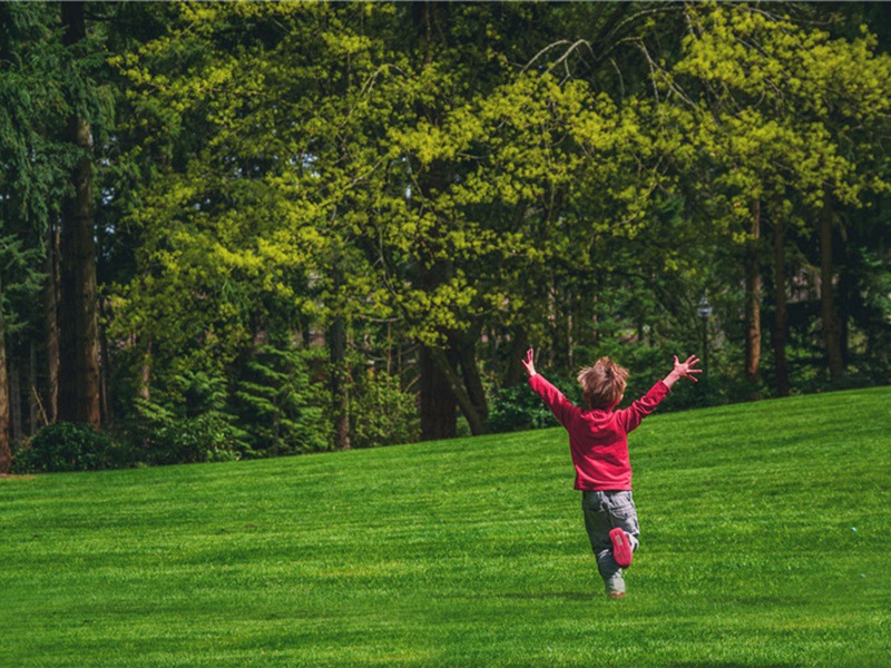 下榻造句,用下榻怎么造句子(90句)