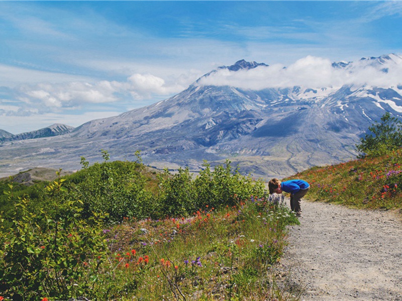 限购造句,用限购怎么造句子(31句)