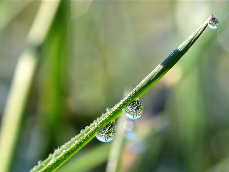 下雨天的心情经典句子(79句)