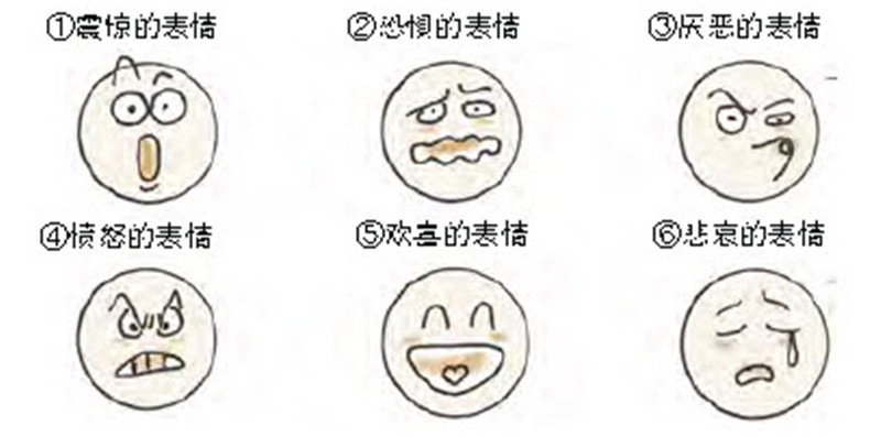 非语言性交流,表情和声音泄露好感