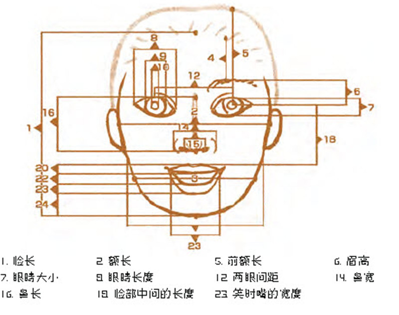 美的普遍性,世界小姐的美貌毫无争议