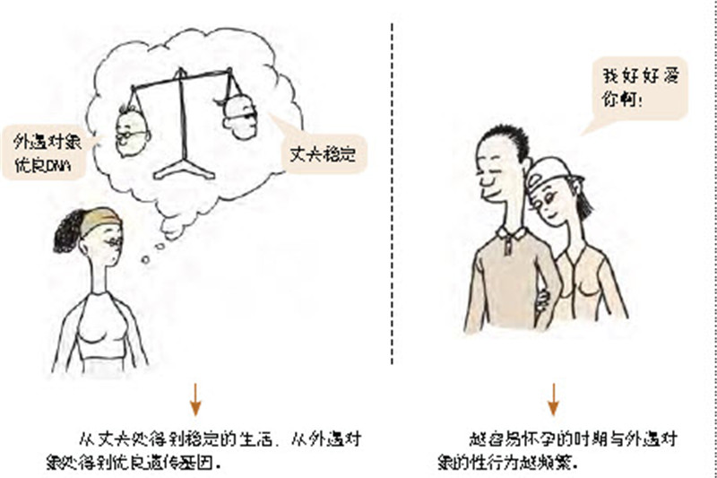 为什么人们总报有出轨外遇的想法