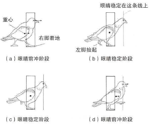 时空扭曲