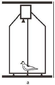 时空联合体保持不变