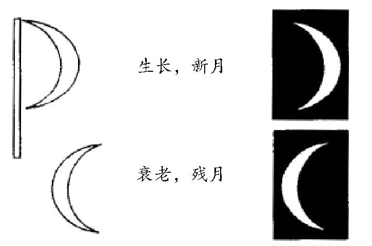怎样区分残月与新月