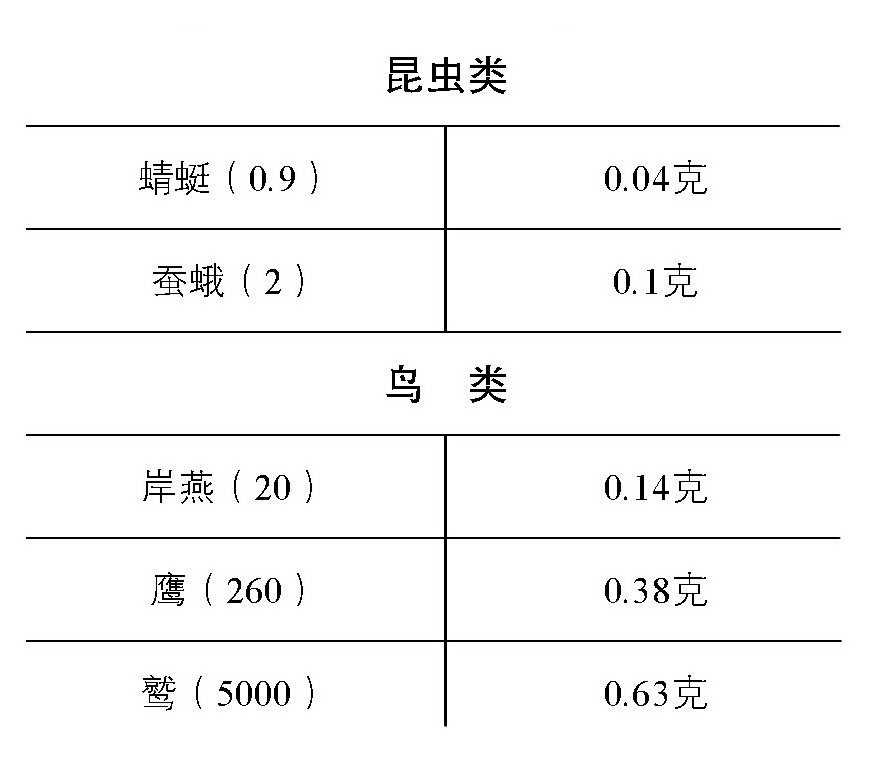 大鸟与小鸟,哪个更能飞