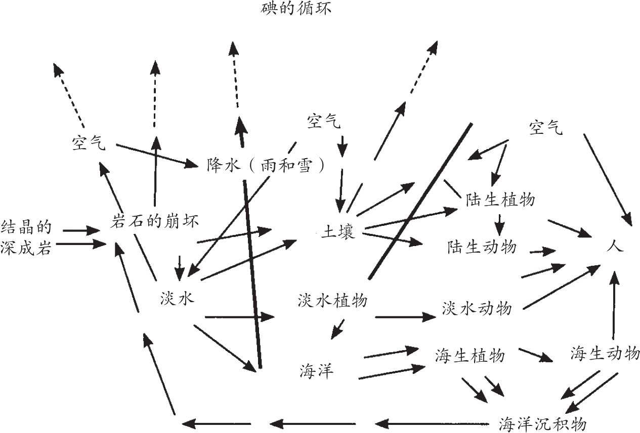 碘的应用以及碘在地球上的循环