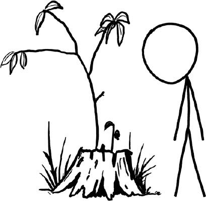 站在纽约的时代广场向前穿越1千年会怎样?如果是向未来穿越100万年呢?