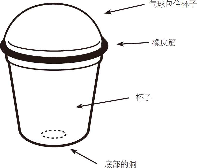 用光交流实验
