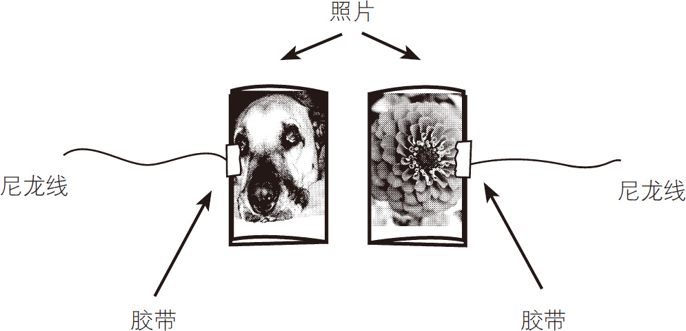 双浮动照片展示魔术技巧