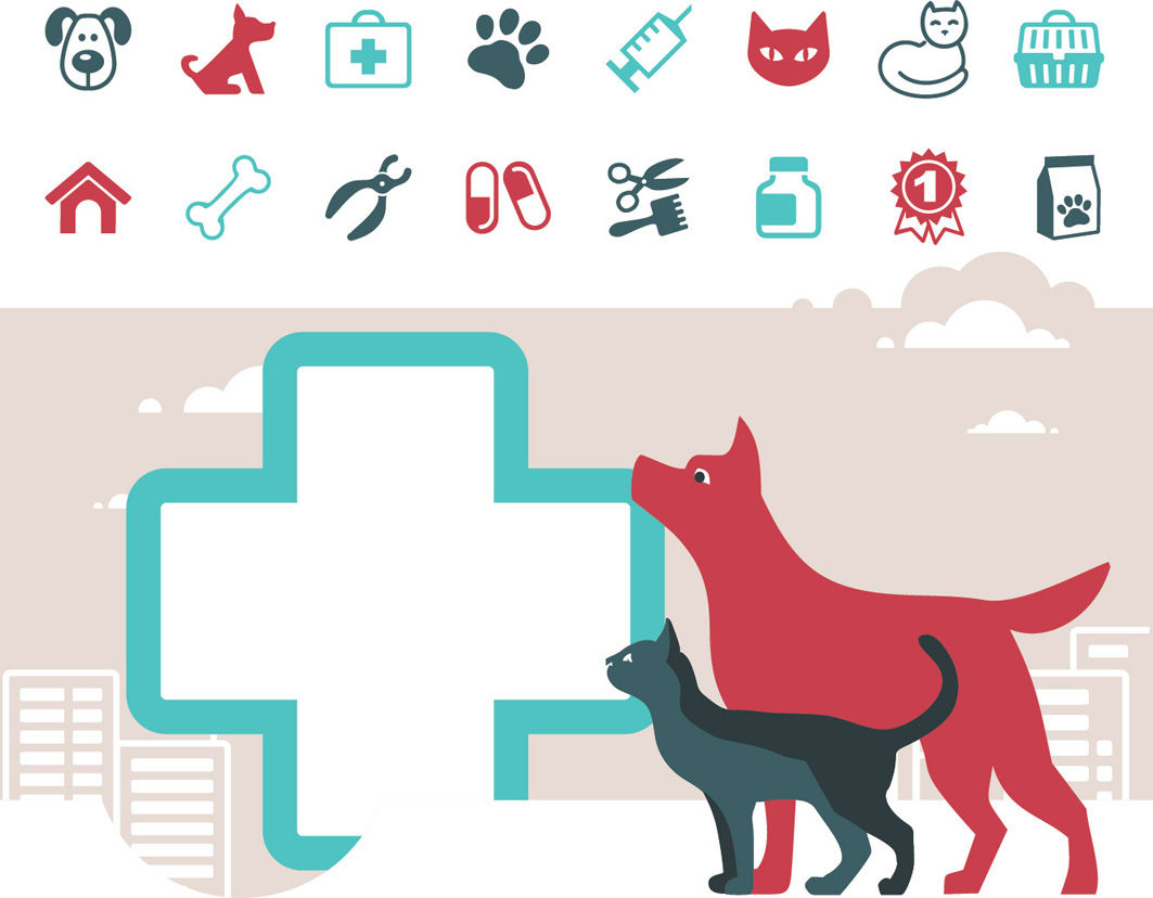 “健康犬”会传播狂犬病毒吗?