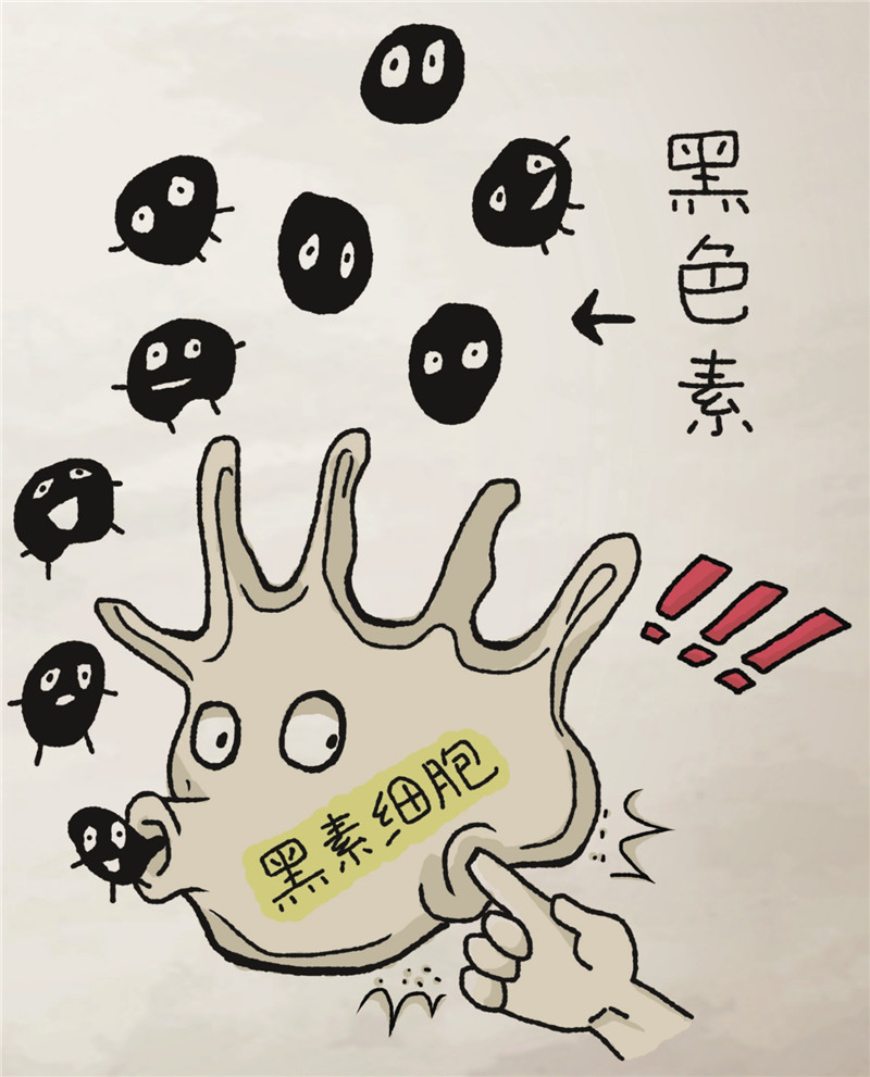 吃酱油会影响美白吗,有伤口时不能吃酱油对吗?