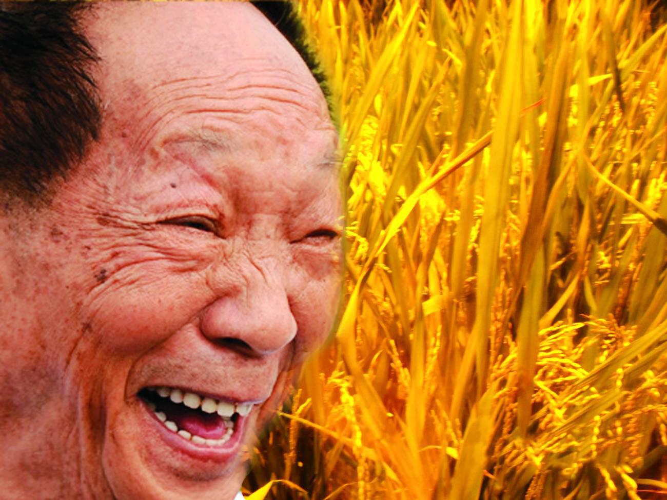 杂交水稻的发明（1973年）-让世界远离饥饿