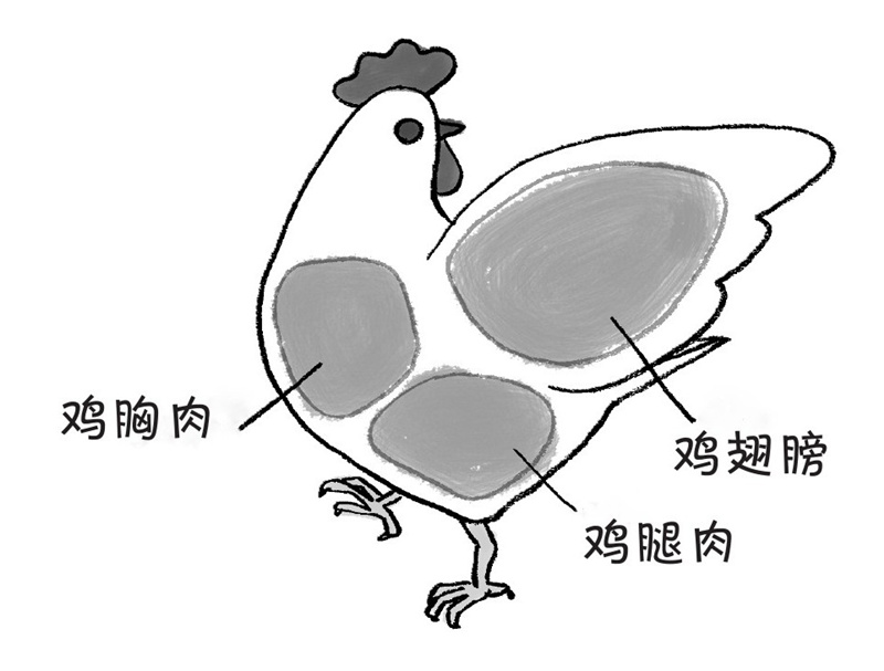 鱼有肌肉吗?是不是金枪鱼和竹荚鱼就没有肌肉呢