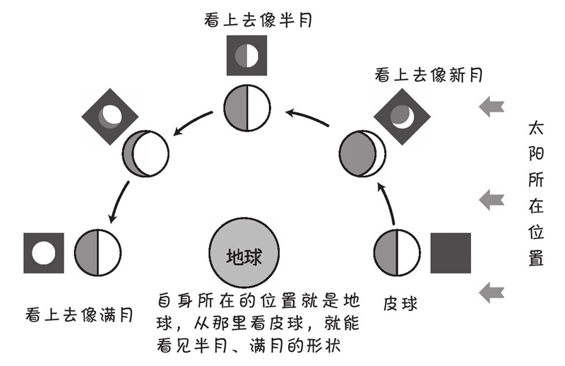 为什么月亮的形状会变化?