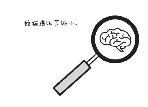 缘何惹蚊叮,怎能驱避之?
