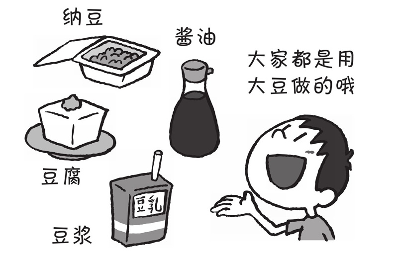 为什么都说豆子有营养呢?