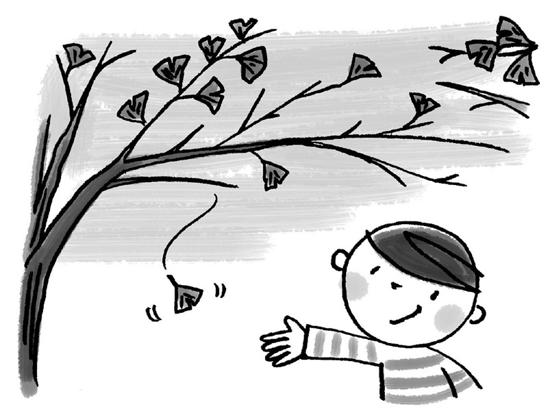 为什么冬天有的树落叶,有的树不落叶?