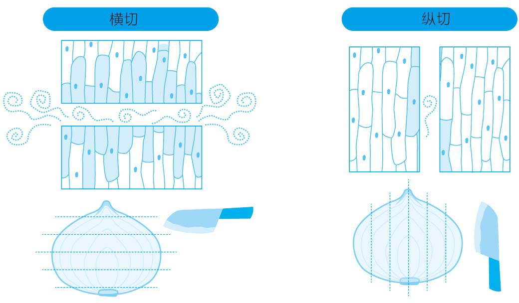 厨房里的植物学