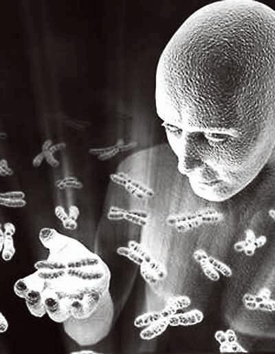 基因工程的发现创立（1974年）-人为干预生物遗传