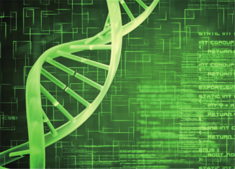 什么是垃圾DNA,它有什么作用