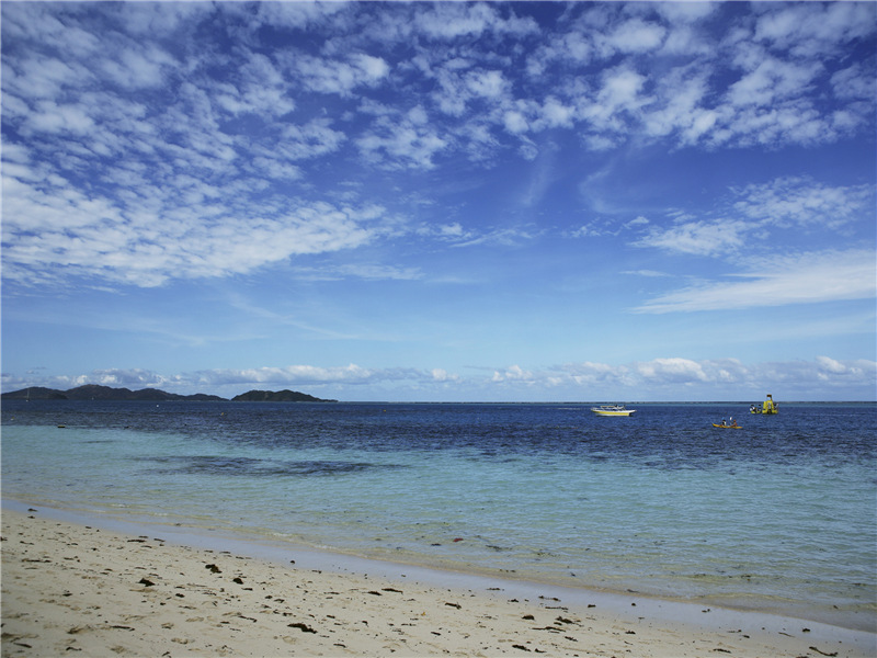 蒲松龄族别-大清名流