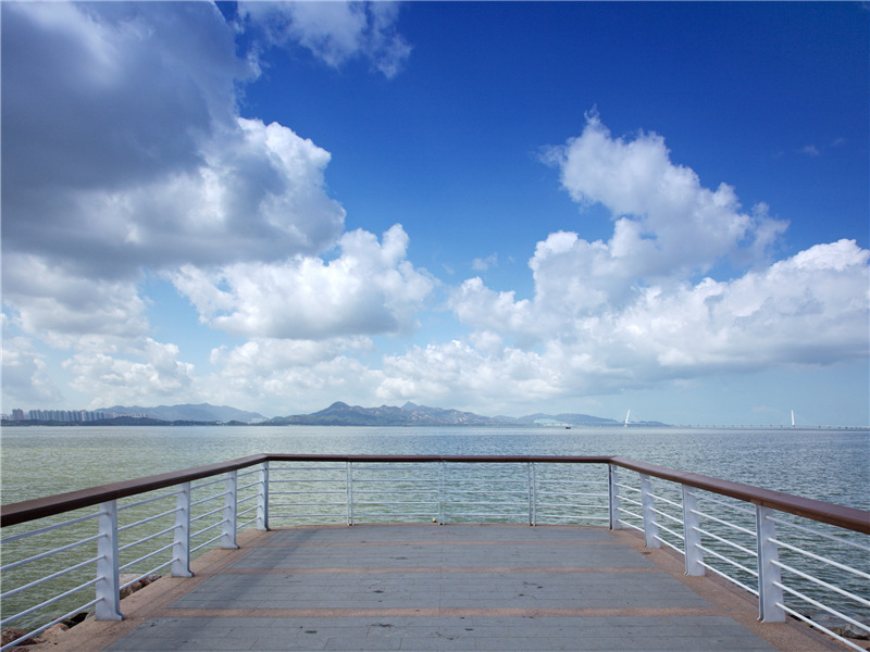 石达开大渡河畔遗物-大清名流